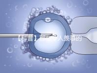 【科普】那些令人羨慕的優(yōu)質胚胎有什么條件?