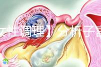 【女性調(diào)理】分析子宮壁薄的四個常見原因,教你三招對癥下藥可以快速改善!