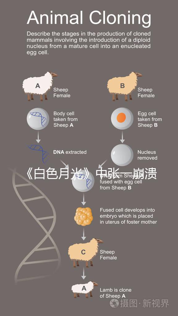 《白色月光》中張一崩潰在孩子面前哭，你認(rèn)為該不該？