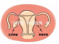 “許子言”親媽現(xiàn)身，教你如何生一個(gè)媽媽的小情人小暖爐！