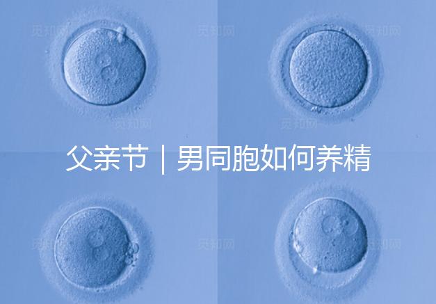 父親節｜男同胞如何養精蓄銳，一發即中？