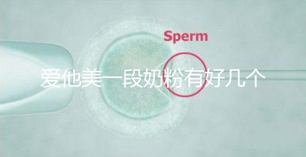 愛他美一段奶粉有好幾個版本，但真偽查詢方法都相似