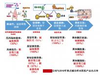 睪丸穿刺術(shù)或顯微取精術(shù),為無精子癥帶來生育希望