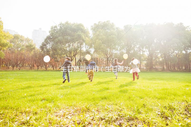 生甘草副作用(生甘草為何盡量少吃)