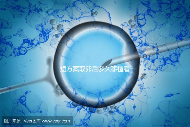短方案取卵后多久移植看時機，關于試管你要知道一些事