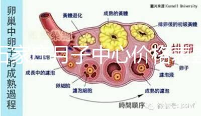 石家莊月子中心價格表整理，長安最貴最好的一家原來是它