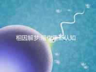 相因解夢(mèng):帶你重新認(rèn)知孕婦夢(mèng)見(jiàn)鯉魚(yú)的象征意義