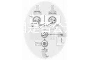 監(jiān)獄項(xiàng)目是否公開(kāi)招標(biāo)(監(jiān)獄項(xiàng)目是否公開(kāi)招標(biāo)文件)