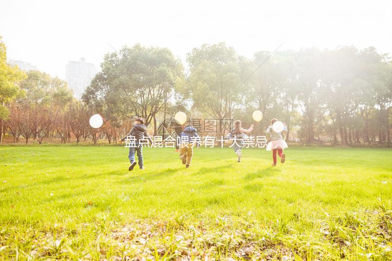 盤點混合喂養(yǎng)有十大禁忌！你能知道一頓母乳和一頓奶粉嗎？