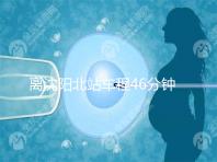 離沈陽北站車程46分鐘!沈陽菁華醫(yī)院地址及路線一覽