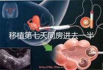 移植第七天同房進(jìn)去一半有無影響戳,沒出血問題就不大