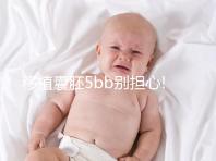 移植囊胚5bb別擔(dān)心!希望并非來自成功率,質(zhì)量奠定基礎(chǔ)