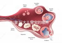 科普:巨大兒寶寶的喂養(yǎng)需掌握4種正確方法