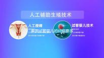美國試管嬰兒的價(jià)格要多少?全面費(fèi)用解析!
