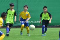 美國試管嬰兒可以選擇性別嗎?附上法律規(guī)定和安全性