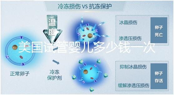 美國試管嬰兒多少錢一次？2025費(fèi)用清單與避坑指南！