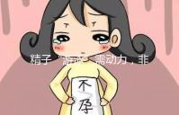 精子“游泳”需動(dòng)力,非前向運(yùn)動(dòng)率低才有好孕