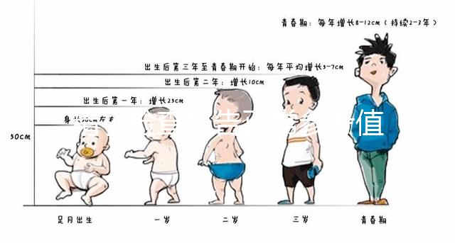 精子檢查報告正常參考值圖例分析，關注這3項指標就夠了