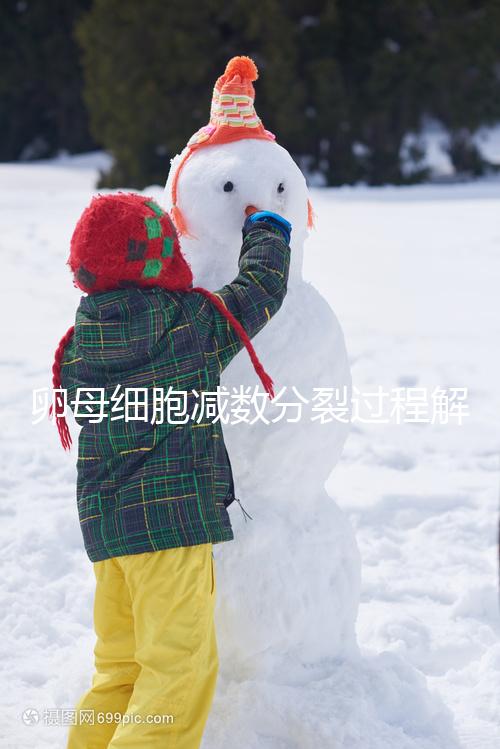 卵母細胞減數分裂過程解讀，從出生到成熟必經這3個階段