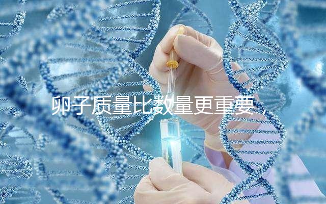 卵子質量比數量更重要，9個卵泡生男孩也很難