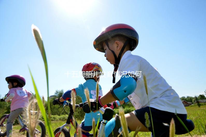 十五周胎兒發(fā)育情況如何?