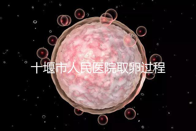 十堰市人民醫(yī)院取卵過程詳解，三種情況可全身麻醉