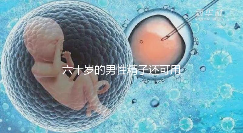 六十歲的男性精子還可用于試管嬰兒生育嗎？