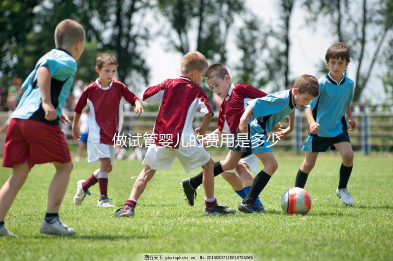 做試管嬰兒的費用是多少?