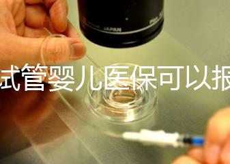 做試管嬰兒醫保可以報銷多少比例(做試管嬰兒醫保可以報銷多少比例的)