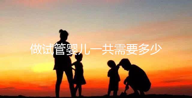 做試管嬰兒一共需要多少錢？