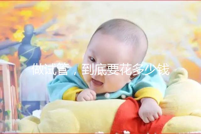 做試管，到底要花多少錢？！??！