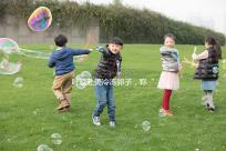 葉璇赴美冷凍卵子，稱“凍卵”是大齡未婚女性“后悔藥”！