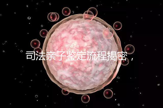 司法親子鑒定流程揭密，附準備材料請一并參考