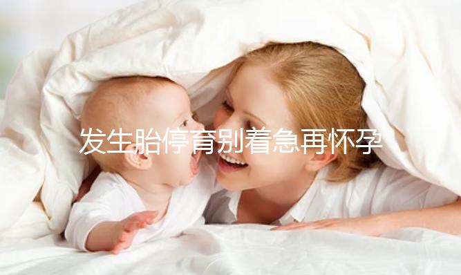 發生胎停育別著急再懷孕，最起碼得要過這么久...