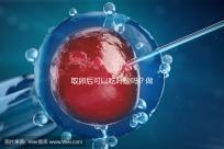 取卵后可以吃葉酸嗎？做過試管的姐妹們都這么說...