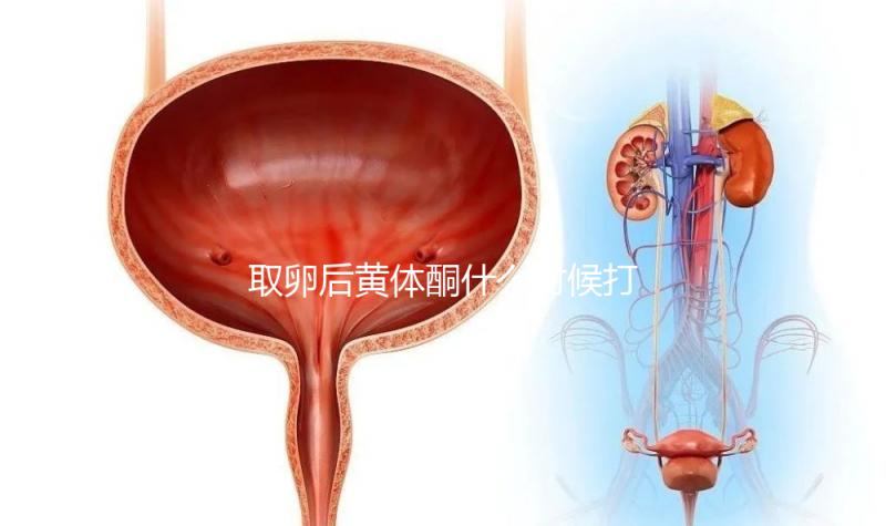 取卵后黃體酮什么時候打？3種人群最佳注射時間各不同