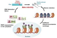 取卵后10天會來月經嗎？快拿小本本記好準確時間