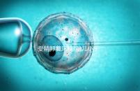 受精卵著床晚?胎兒小于停經時間,分析:卵子精子結合晚