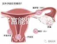 雙角子宮能做試管嬰兒嗎？可以，但這2大條件缺一不可