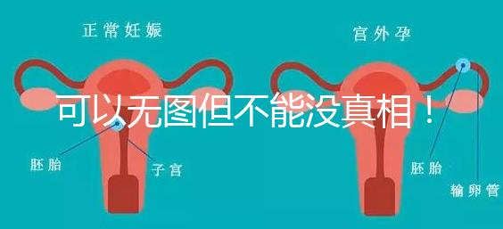 可以無(wú)圖但不能沒(méi)真相！段濤大夫帶你了解B超檢查報(bào)告單