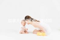 加拿大做試管要不要結(jié)婚證不知道,但這2樣證件必須要!