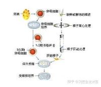 北京 腎病(北京腎病醫(yī)院排名第一)