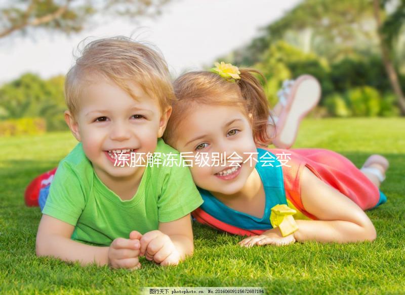 凍胚解凍后級別會不會變化有答案了,降級還是升級看情況