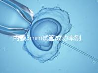 內膜3mm試管成功率別沒數，多久移植、出血與否是關鍵