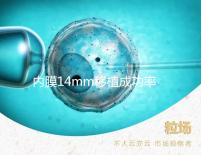 內(nèi)膜14mm移植成功率不高？好不好著床看完心里有譜