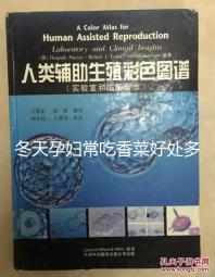 冬天孕婦常吃香菜好處多,搓成丸子味道更佳