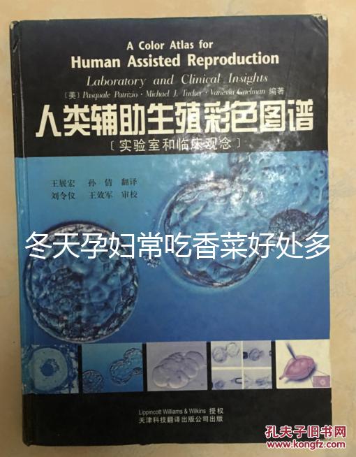 冬天孕婦常吃香菜好處多，搓成丸子味道更佳