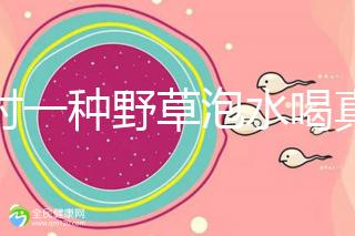 農村一種野草泡水喝真能治便秘！配合這九種中草藥效果更好