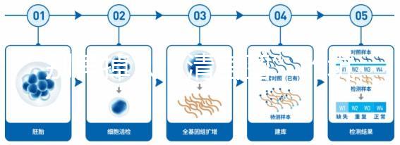 別再掉入“清宮圖”的坑中！備孕不應(yīng)錯過女性最佳生育年齡