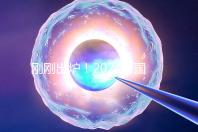 剛剛出爐！2024泰國試管嬰兒醫院最新排行榜